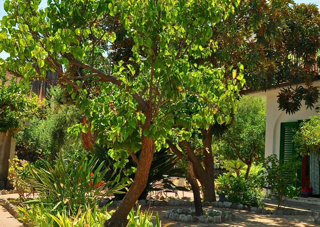 Seafront Apartments Garden House تاورمينا الغرفة الصورة