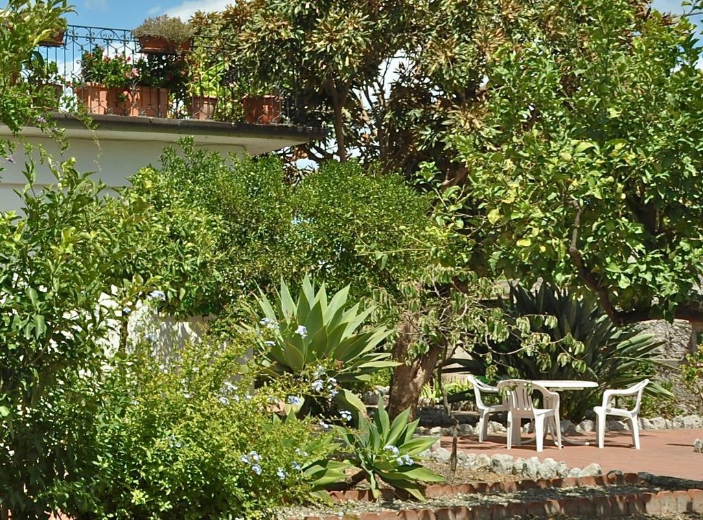 Seafront Apartments Garden House تاورمينا الغرفة الصورة